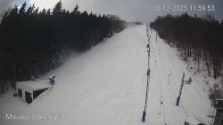 Vlek Mikulov, Slalomový svah