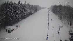 Vlek Mikulov, Slalomový svah