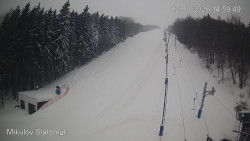 Vlek Mikulov, Slalomový svah