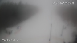 Vlek Mikulov, Slalomový svah