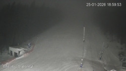 Vlek Mikulov, Slalomový svah