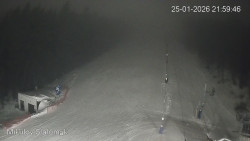 Vlek Mikulov, Slalomový svah