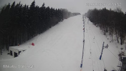 Vlek Mikulov, Slalomový svah