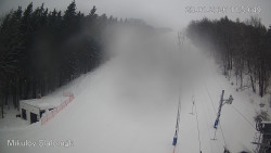 Vlek Mikulov, Slalomový svah