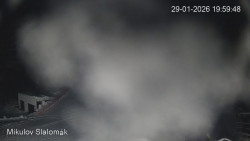 Vlek Mikulov, Slalomový svah