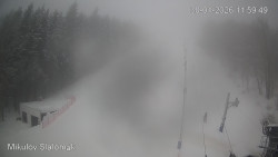 Vlek Mikulov, Slalomový svah