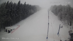 Vlek Mikulov, Slalomový svah