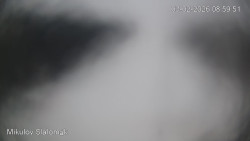 Vlek Mikulov, Slalomový svah