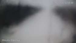 Vlek Mikulov, Slalomový svah