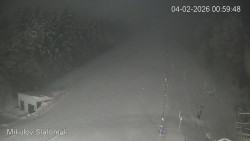 Vlek Mikulov, Slalomový svah