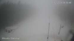 Vlek Mikulov, Slalomový svah