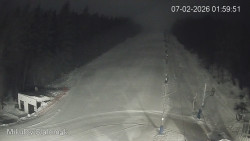 Vlek Mikulov, Slalomový svah