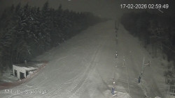 Vlek Mikulov, Slalomový svah