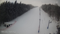 Vlek Mikulov, Slalomový svah