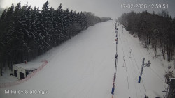 Vlek Mikulov, Slalomový svah