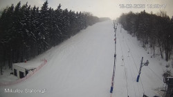 Vlek Mikulov, Slalomový svah