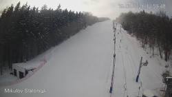 Vlek Mikulov, Slalomový svah