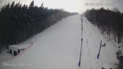 Vlek Mikulov, Slalomový svah