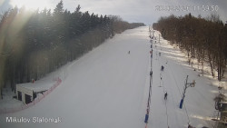 Vlek Mikulov, Slalomový svah