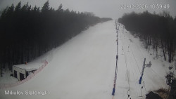 Vlek Mikulov, Slalomový svah