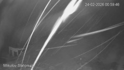 Vlek Mikulov, Slalomový svah