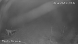 Vlek Mikulov, Slalomový svah