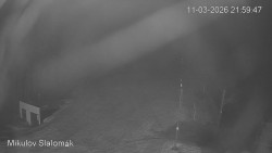 Vlek Mikulov, Slalomový svah