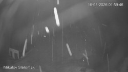 Vlek Mikulov, Slalomový svah