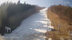 Vlek Mikulov, Slalomový svah