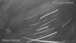 Vlek Mikulov, Slalomový svah