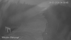 Vlek Mikulov, Slalomový svah