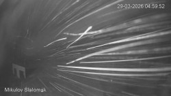 Vlek Mikulov, Slalomový svah