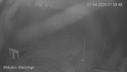 Vlek Mikulov, Slalomový svah