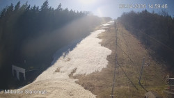 Vlek Mikulov, Slalomový svah