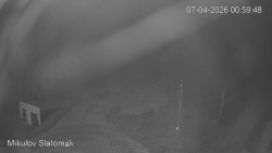 Vlek Mikulov, Slalomový svah