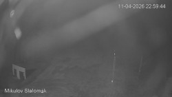 Vlek Mikulov, Slalomový svah