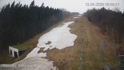 Vlek Mikulov, Slalomový svah