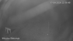 Vlek Mikulov, Slalomový svah