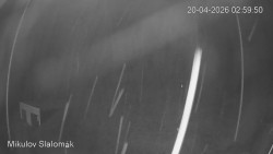 Vlek Mikulov, Slalomový svah