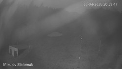 Vlek Mikulov, Slalomový svah