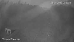 Vlek Mikulov, Slalomový svah