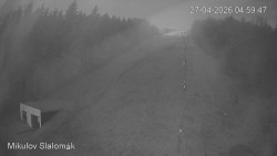 Vlek Mikulov, Slalomový svah