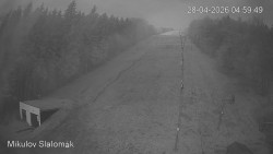 Vlek Mikulov, Slalomový svah