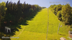 Vlek Mikulov, Slalomový svah