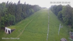 Vlek Mikulov, Slalomový svah