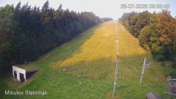 Vlek Mikulov, Slalomhang