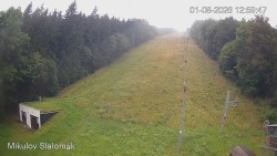 Vlek Mikulov, Slalomhang