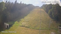 Vlek Mikulov, Slalomhang