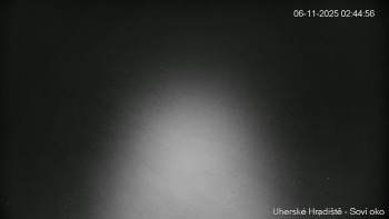 Snímek 6.11.2025 v 02:45