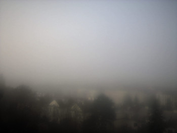 Snímek 5.11.2025 v 08:00